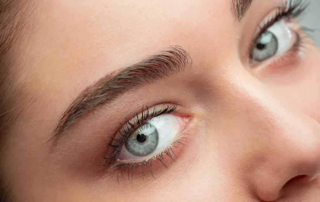 What is the difference between hair stroke and powder brows