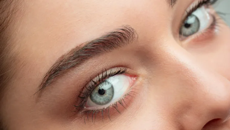 What is the difference between hair stroke and powder brows